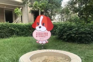 佛山市养狗需具备的相关证件及手续（了解佛山市养狗所需证件及手续，为你和宠物的幸福生活保驾护航）