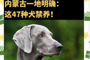 禁养狗的合理性与必要性（为何需要对某些狗种进行禁养？）