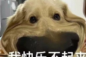 狗狗的8种爱你表现，特别是第八种！（揭示狗狗对主人深情款款的表达方式）