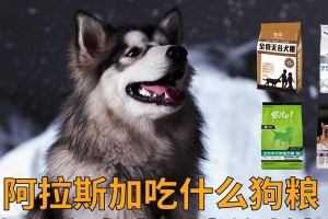 罗威纳的理想狗粮选择——健康与营养兼顾（了解罗威纳犬的特点和需求，选择适合的狗粮）