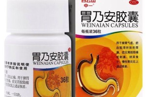 幼犬胃不好吃什么药？（了解如何治疗幼犬胃部问题）
