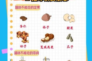 如何选择适合猫咪的猫粮？（关注猫咪健康的重要性及选购猫粮的注意事项）