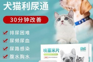 狗尿路感染的快速治疗方法（选对药物，快速摆脱狗尿路感染）