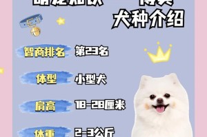 博美犬的定价与市场行情（了解博美犬的价格走势以及定价因素）