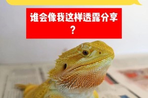 蜥蜴鬃狮的寿命之谜（揭开蜥蜴鬃狮生命之谜的关键）