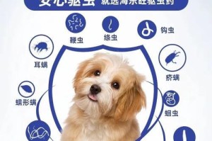 小型成犬驱虫周期与方法（科学护理，健康宠物生活）