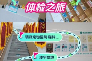 小狗立即体检的重要性（幼犬体检项目及其必要性）