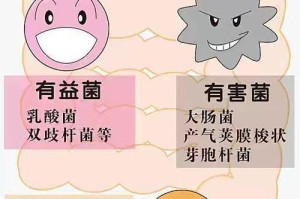 狗尿中的细菌（揭秘狗尿中的细菌种类及相关疾病传播风险）