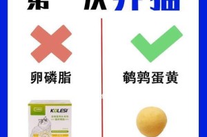 以养狗不交智商税（从养狗新手到专业养狗人士，你需要了解的一切）