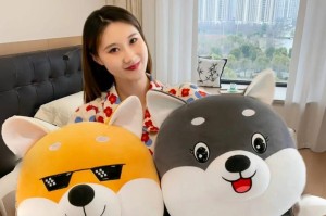 探索哈士奇K系的神秘之处（揭开哈士奇K系血统的秘密）