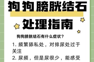 狗尿里带血的原因及处理方法（了解狗尿里带血的常见原因及正确处理方法）