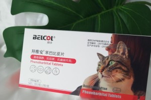 3个月猫咪的药物治疗指南（为您的小猫提供最佳保健药物）