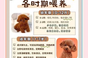 泰迪狗的怀孕期是多久？（了解泰迪狗的怀孕周期及繁殖特点）