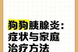 狗狗胰腺炎的症状及预防方法（了解胰腺炎的迹象，让你的宠物远离疾病）