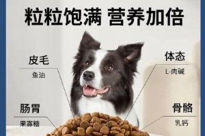 选择适合的狗粮让你的宠物健康成长（以什么狗吃普通狗粮？选对狗粮才能满足宠物的营养需求）