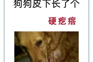 小狗的生长过程与停止生长时间（了解小狗的生长周期，掌握合理护理方法）