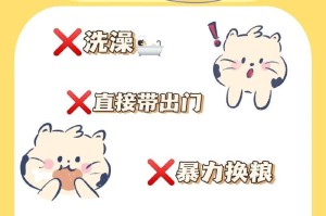 养猫新手指南（关爱的第一步，为幼猫打造温暖的家园）