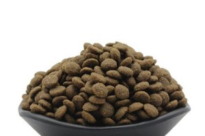 英短公猫的理想食粮（了解英短公猫的饮食需求及适合它们的猫粮种类）