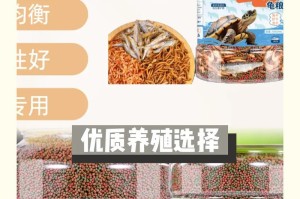小巴西龟的饮食频率与养护（合理掌握饲养时间，让宠物龟健康成长）