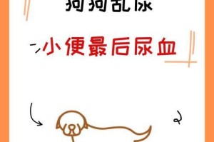 小狗膀胱炎的症状与治疗（探索小狗膀胱炎的常见症状及有效治疗方法）