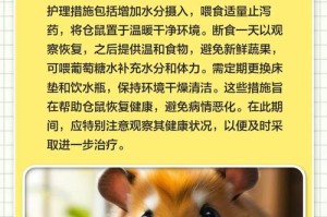 仓鼠湿尾的生存期限及其影响因素（揭秘仓鼠湿尾问题）