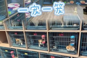 探秘以博美是什么样的平台（了解以博美平台的特点与服务）