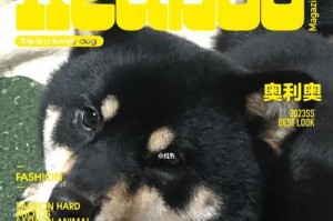 黑色柴犬价格究竟如何？（探究黑色柴犬市场行情及关键因素）