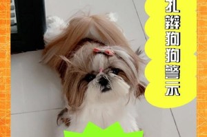 狗狗立耳朵的时间及方法解析（科学扎耳朵让狗狗更加迷人）