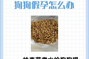 狗狗假怀孕的反应时间究竟有多长？（揭秘狗狗假怀孕的诡异表现及持续时间）
