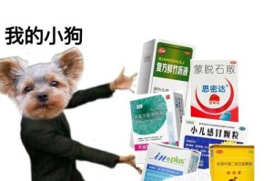 狗狗呕吐的治疗方法及快速处理技巧（掌握正确方法，帮助狗狗缓解呕吐症状）