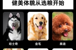 贵宾幼犬的最佳狗粮选择（为你的贵宾幼犬选择最适合的狗粮）