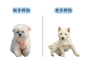 便宜又好养的狗狗品种推荐（以哪些品种的狗狗为主，既省钱又容易养？）