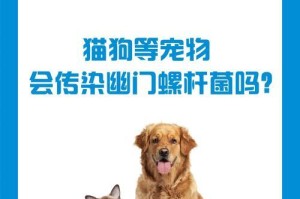 探究狗的传染病（以及预防和治疗的关键措施）