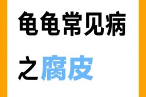 乌龟为什么会腐皮？（探究乌龟腐皮现象的原因及对乌龟健康的影响）