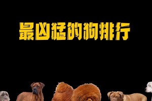 藏獒实力解析（揭秘藏獒的战斗能力与特征，犬科与猫科中的地位与比较。）