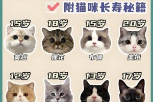 新生猫咪的睡眠需求（探究新生猫咪一天的睡眠时间和原因）