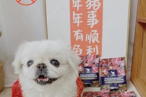 以小北京犬狗粮选择指南（为你的小北京犬提供最佳营养）