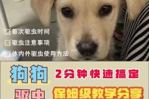 狗狗吃了驱虫药后多久可以洗澡？（洗澡前等待的最佳时间和注意事项）