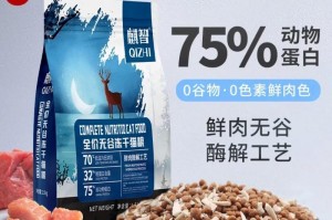小猫如何获得亮丽的毛发