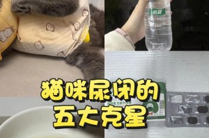 猫咪尿不出尿怎么办？喂什么药快速治愈！（救命之举！帮助猫咪尿路畅通的有效方法与药物治疗。）