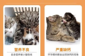母猫多久会停止喂奶？（探究母猫断奶的时间和原因）