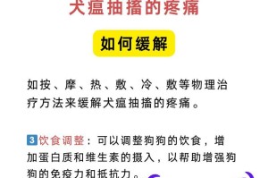 了解犬瘟热，保护您的爱犬健康（预防犬瘟热，从关键环节开始）