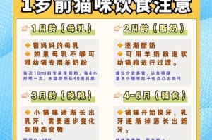 幼猫饲养的注意事项——打造健康快乐的猫咪宝宝（从幼猫护理到饮食管理，全方位关爱你的小猫猫）