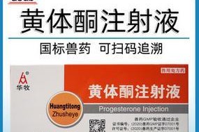 狗多打黄体酮（了解狗多打黄体酮的风险以及正确使用的关键）