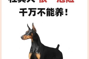 养杜高犬的五大危害，看完你还敢养吗？（揭秘养杜高犬可能带来的健康风险和挑战）