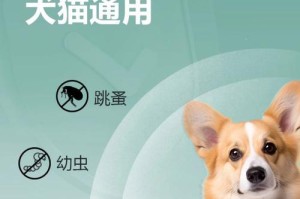 狗狗拉驱虫多久有效？（探究狗狗拉驱虫效果的持续时间及影响因素）
