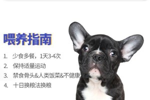 以成犬法国斗牛犬的理想狗粮选择（为你的法国斗牛犬提供全面的营养）