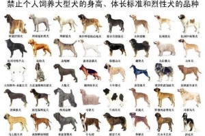 养狗必备网站推荐（探索狗狗世界的权威指南）