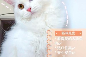 如何选择适合布偶猫的猫罐头？（新手养猫攻略，为你的布偶猫选购最合适的猫罐头！）