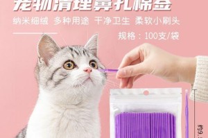 猫耳朵的清洁与保养（详解猫耳朵清洁的方法和频率）